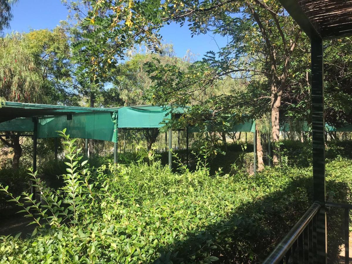 Rural Presa La Camping